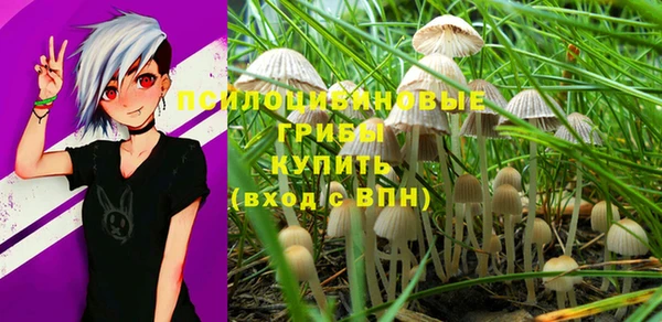PSILOCYBIN Балахна