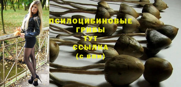 хмурый Баксан