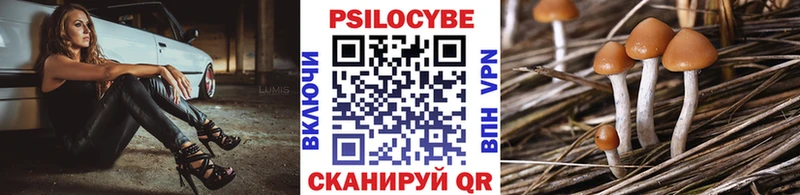 Купить  Грязовец  Галлюциногенные грибы мицелий 