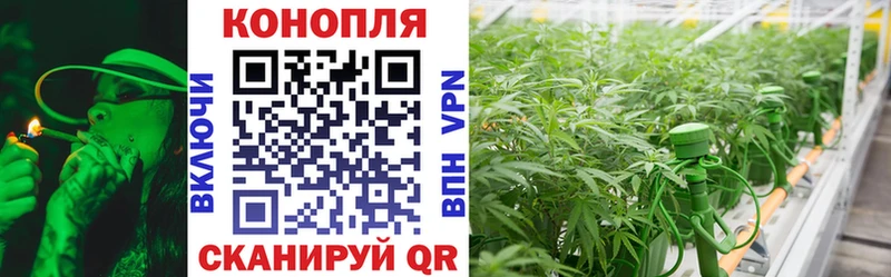 Конопля AK-47 Грязовец